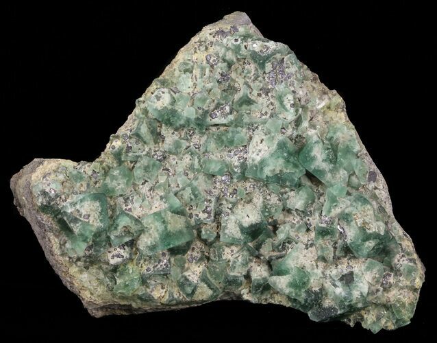 Fluorite & Galena Cluster - Rogerley Mine #60369